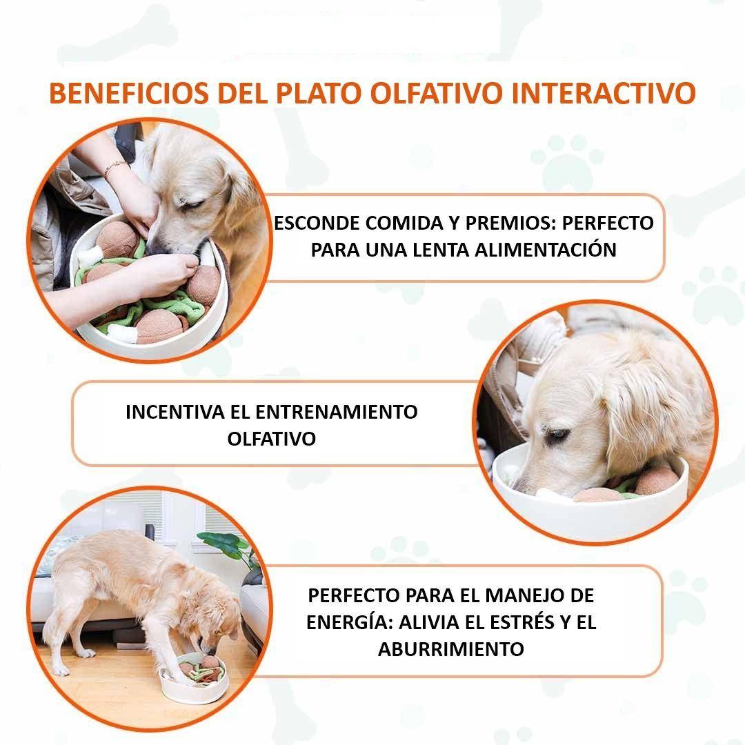 Juguete olfativo interactivo para mascotas – Pollo Chicken-2