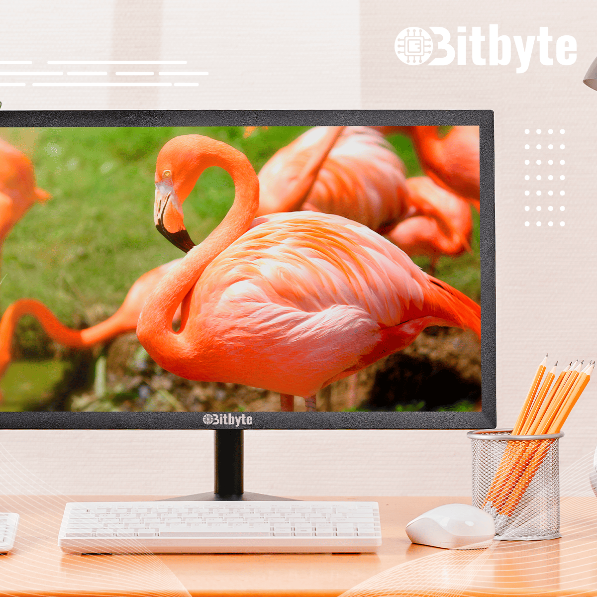 Monitor Bitbyte 19? (1440×900)-5
