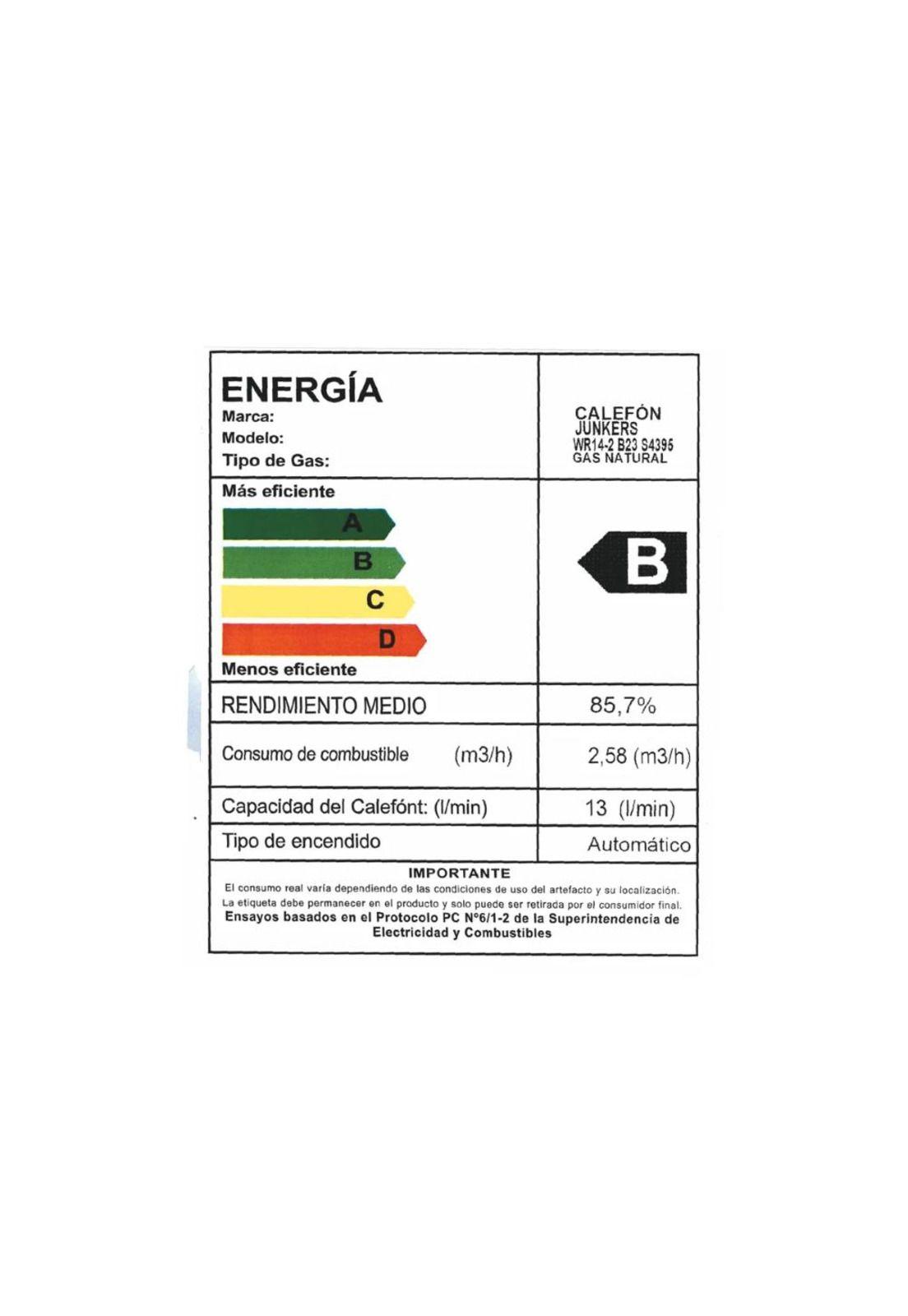 CALEFON JUNKERS WR14-2 B23 S4395 GAS NATURAL 14L IONIZADO-3