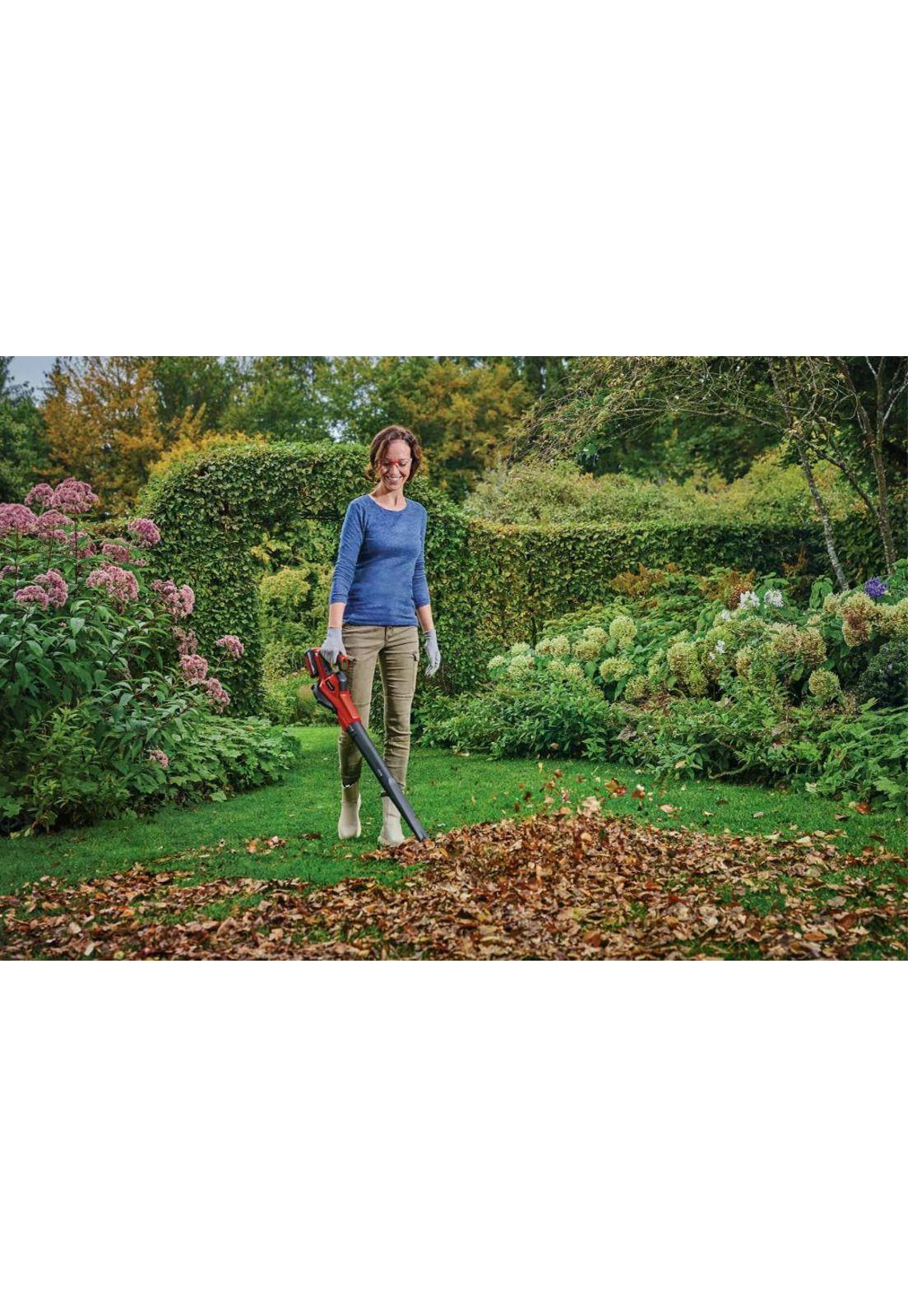 SOPLADOR EINHELL GE-UB 18/250 LI E 18V+1 BAT 4.0 AH+CARG-6