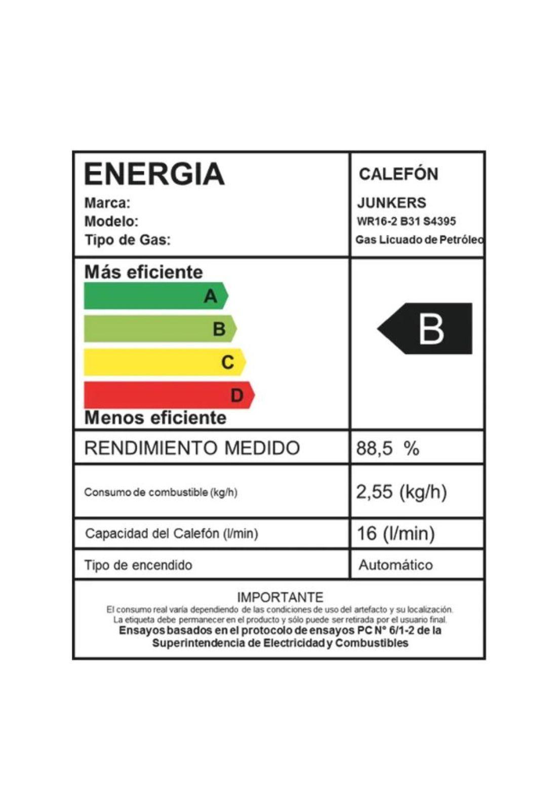 CALEFON JUNKERS G.L. 16 L IONIZADO WR16-2 B31-3