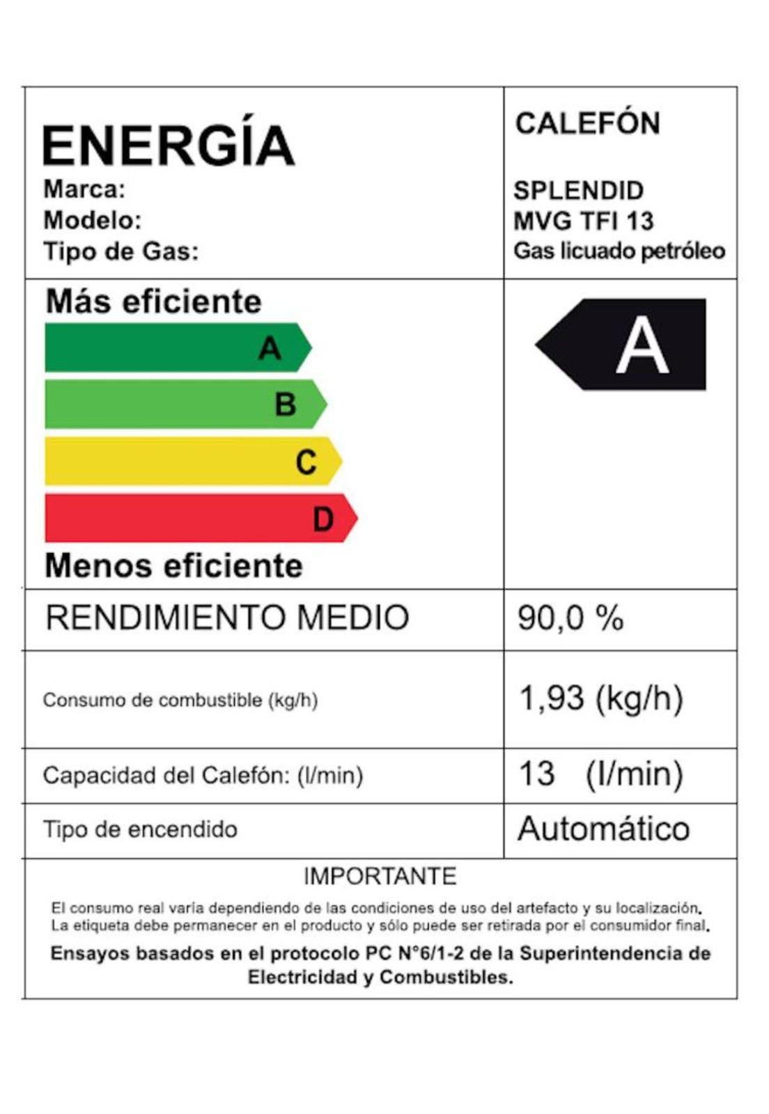 CALEFON SPLENDID MASTER G.N 13L IONIZADO-4