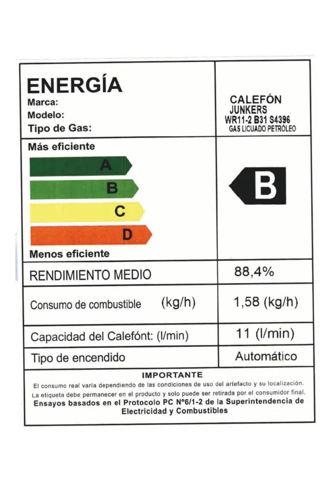 CALEFON JUNKERS WR11-2 B31 GAS LICUADO 11L. IONIZADO-3
