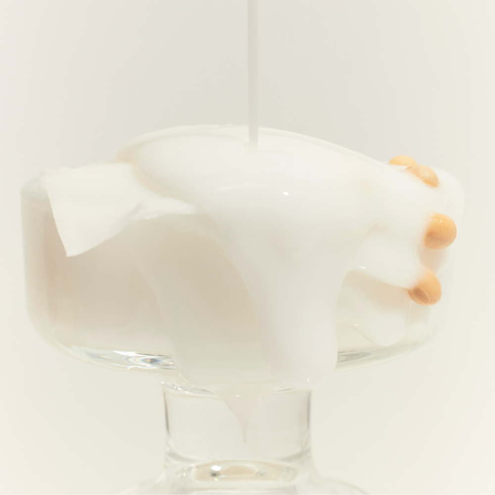 Mixsoon Soybean Milk Pad 10ea-4