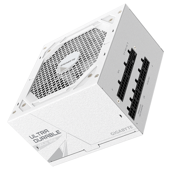 Fuente de Poder AORUS ELITE P850W ICE 850W 80 PLUS Platinum-1