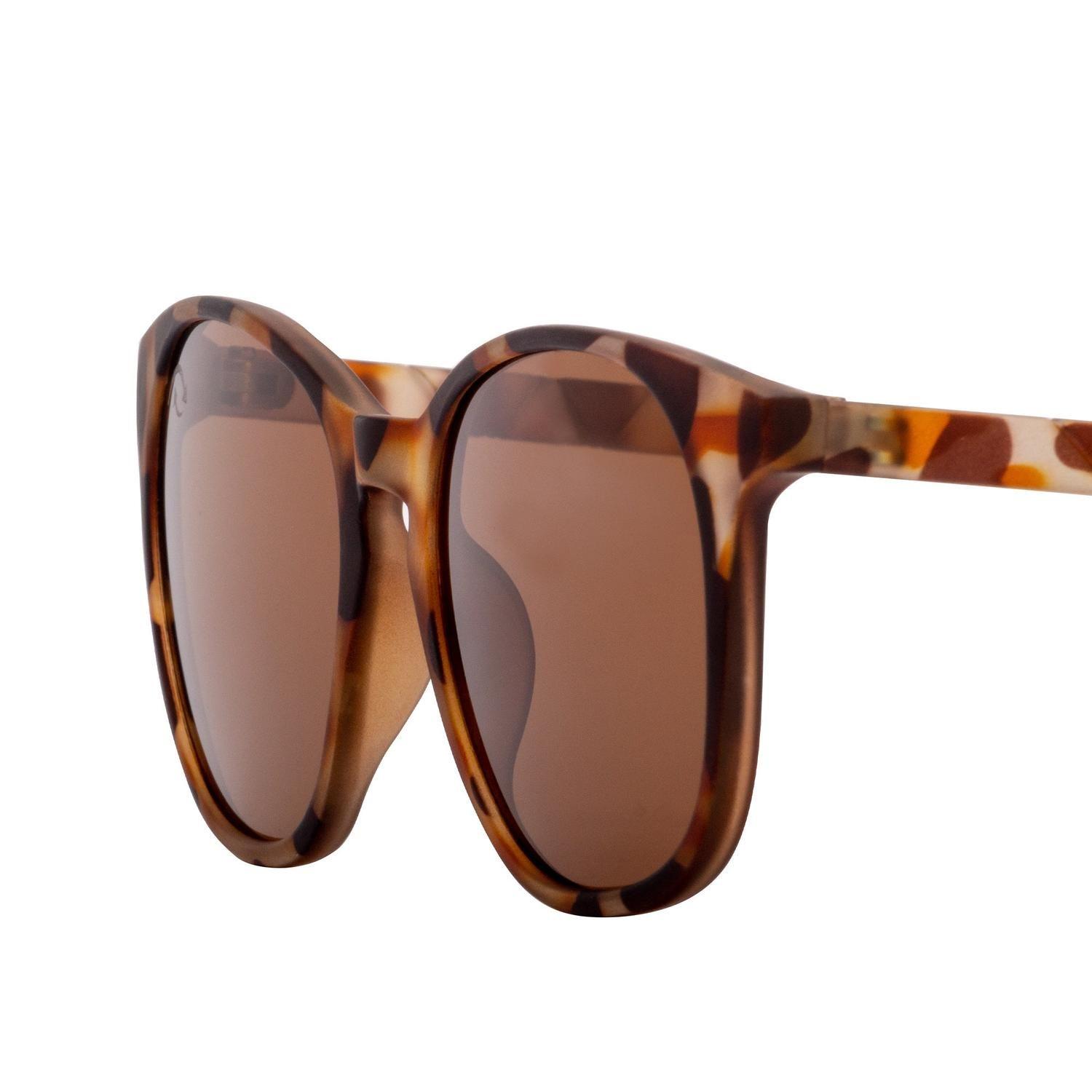 Anteojos de Sol LAND TORTOISE BROWN-3