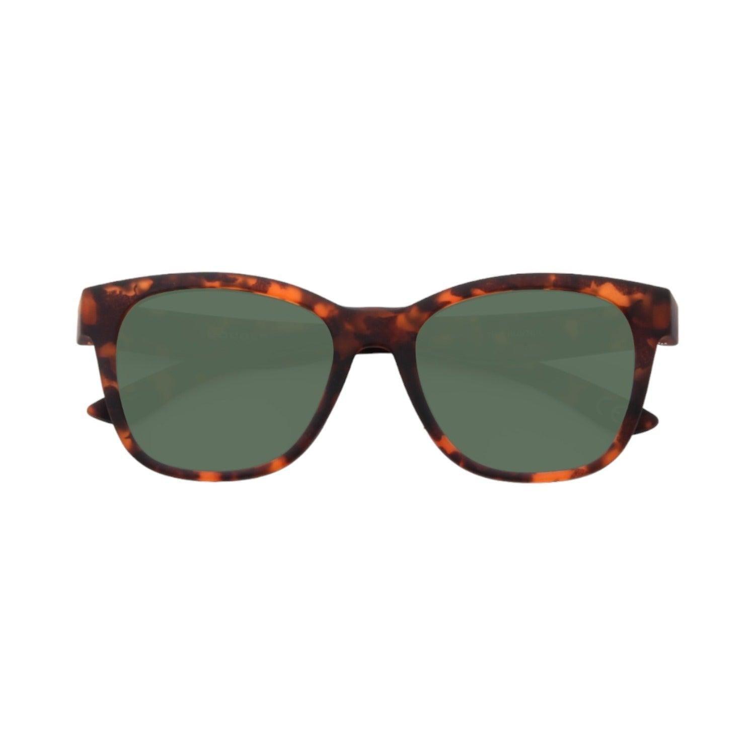 Anteojos de Sol The HUNTER | BROWN TORT / DARK GREEN-0