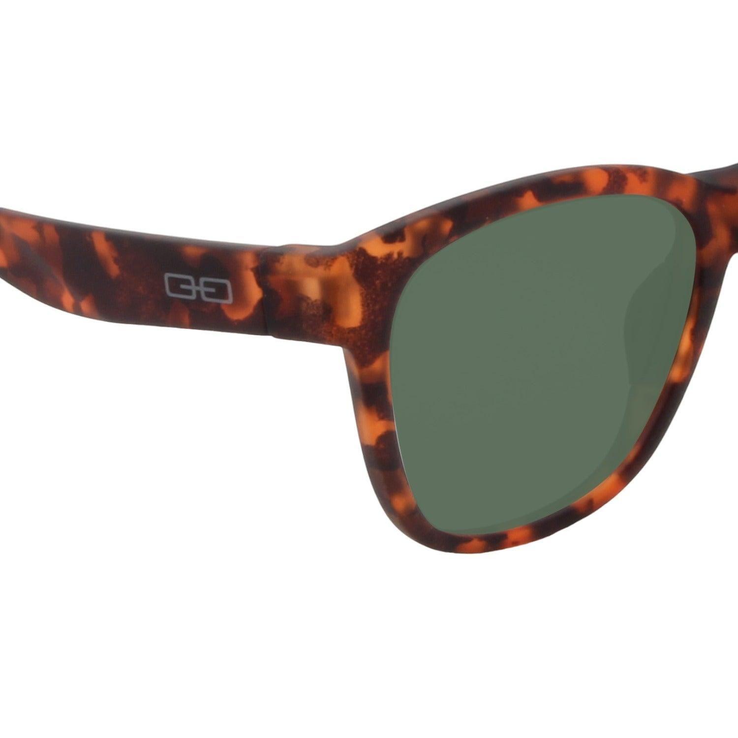 Anteojos de Sol The HUNTER | BROWN TORT / DARK GREEN-2