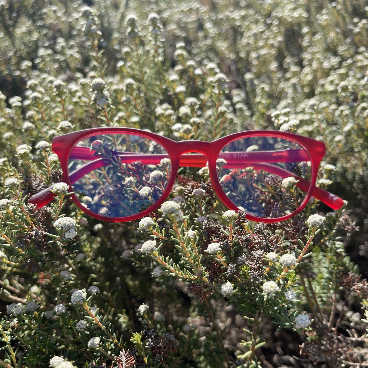 THE STAR AZUL MARINO-0