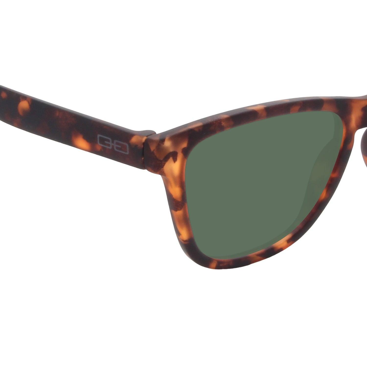 Anteojos de Sol The Athlete | Brown Tort/Green Pol-2