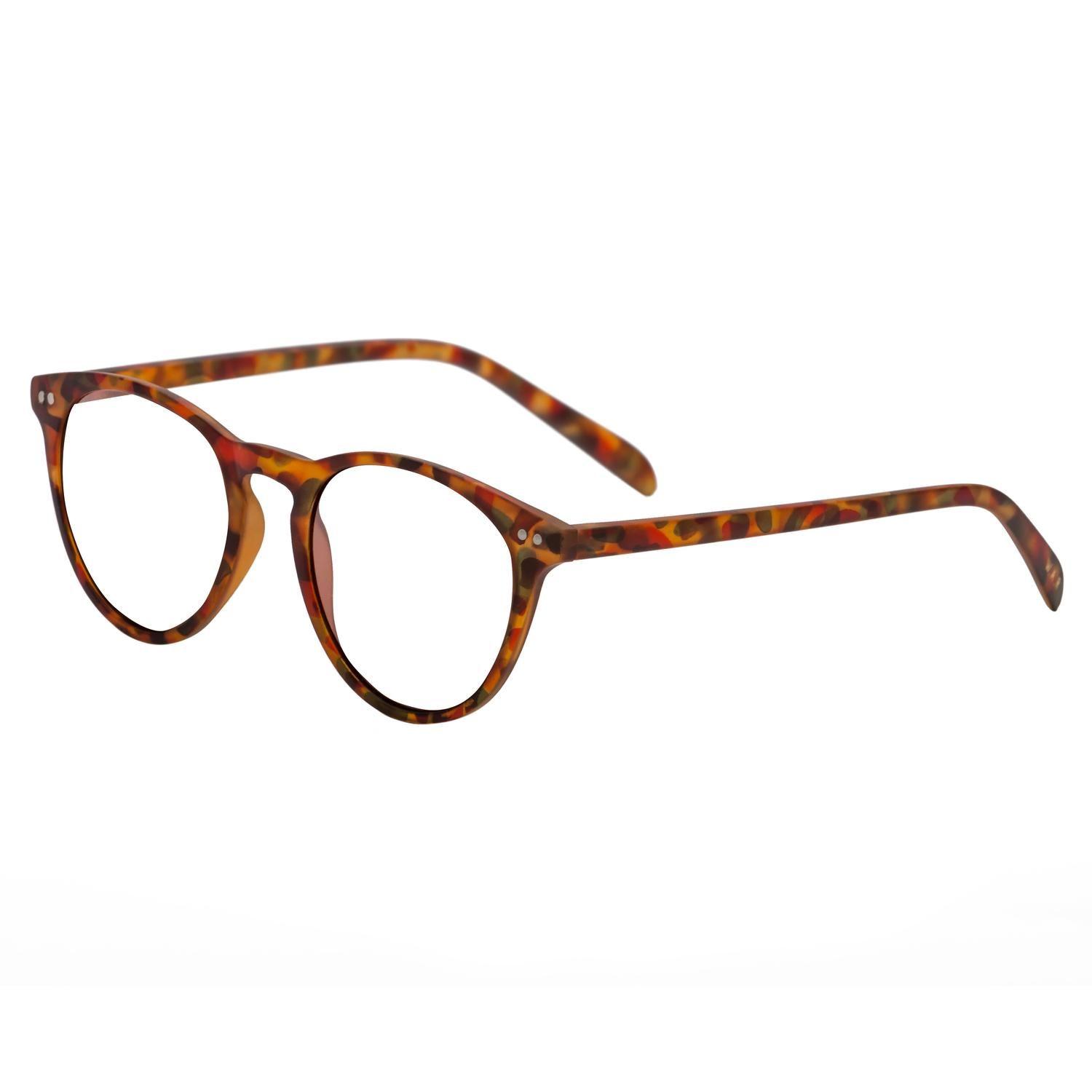 Anteojos de Lectura LAKE TORTOISE BLUE-4
