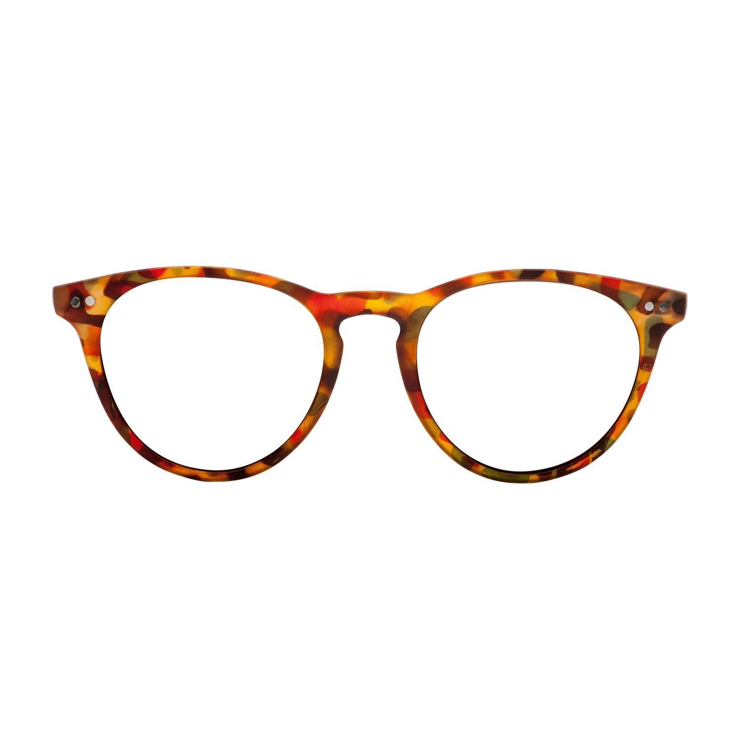 Anteojos de Lectura LAKE TORTOISE BLUE-5