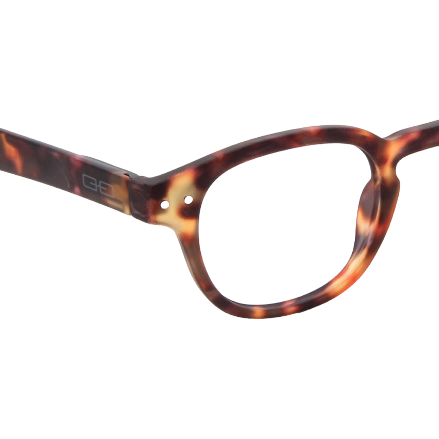 Anteojos de Sol THE SCIENTIST TORT-2