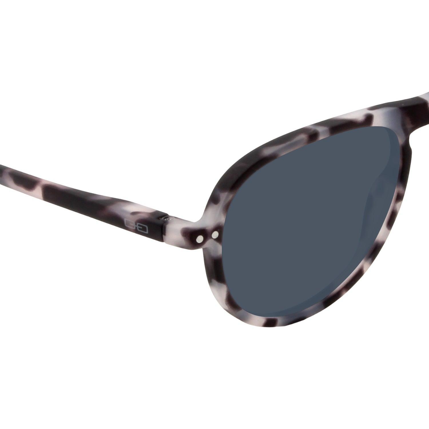 Anteojos de Sol The Aviator | Grey Tort/Blue Pol-2