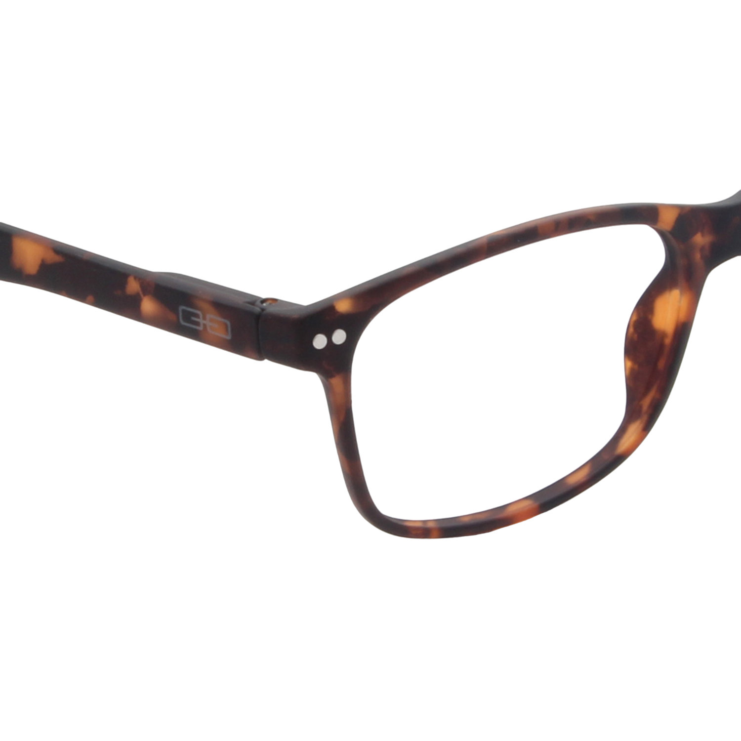 Anteojos de Sol THE PHILOSOPHER CAFÉ TORT-2