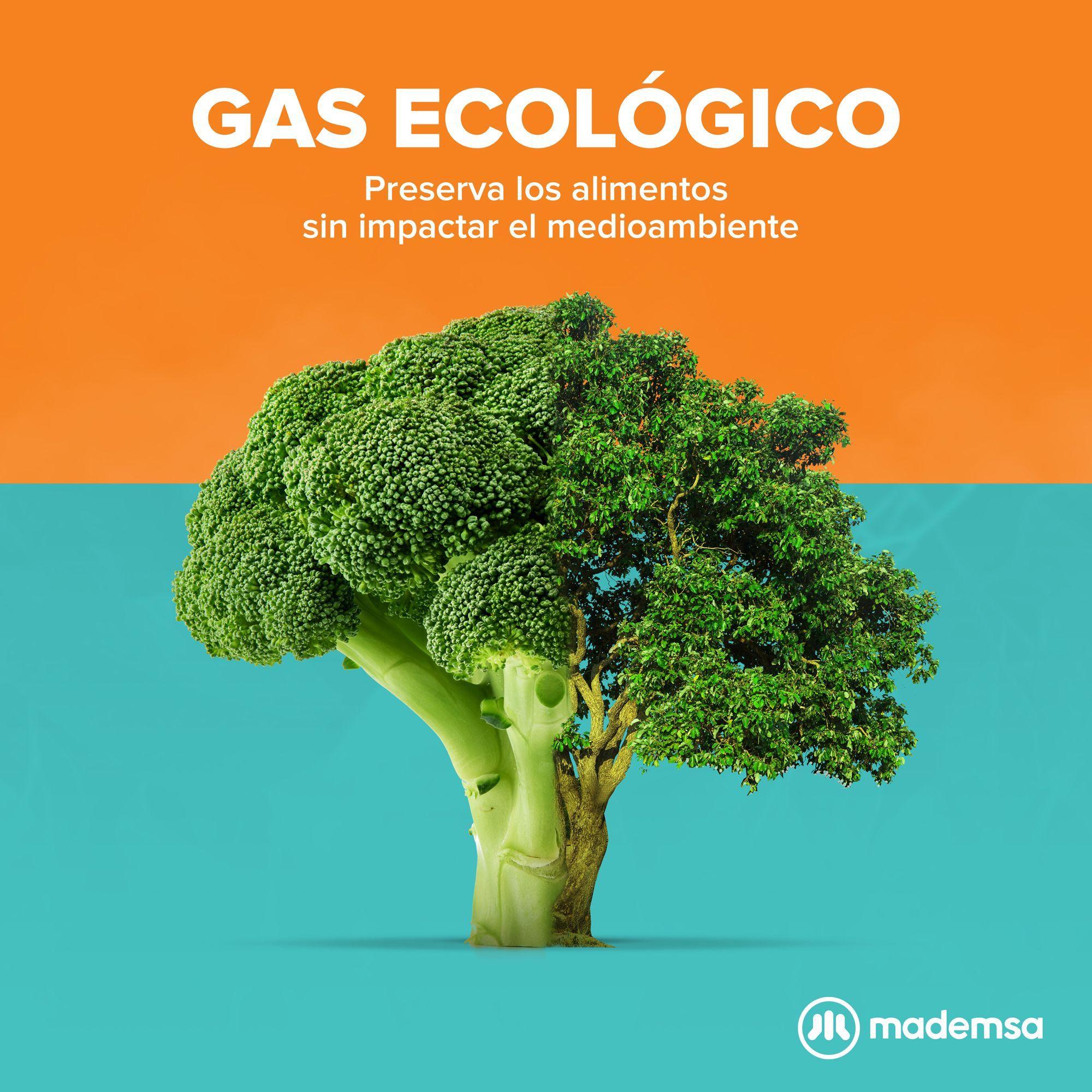 Congelador Freezer Mademsa Vertical 168L Frío Directo M265V-5