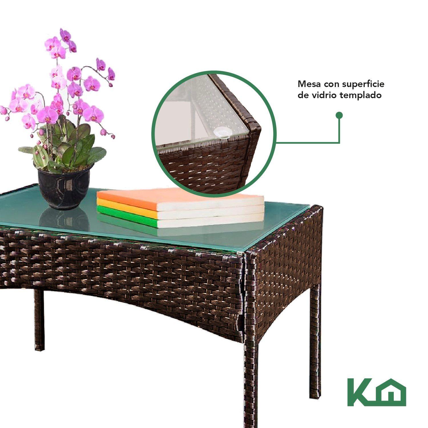 Juego De Sillas Sala Rattan Exterior Mimbre Marron Cojines-3