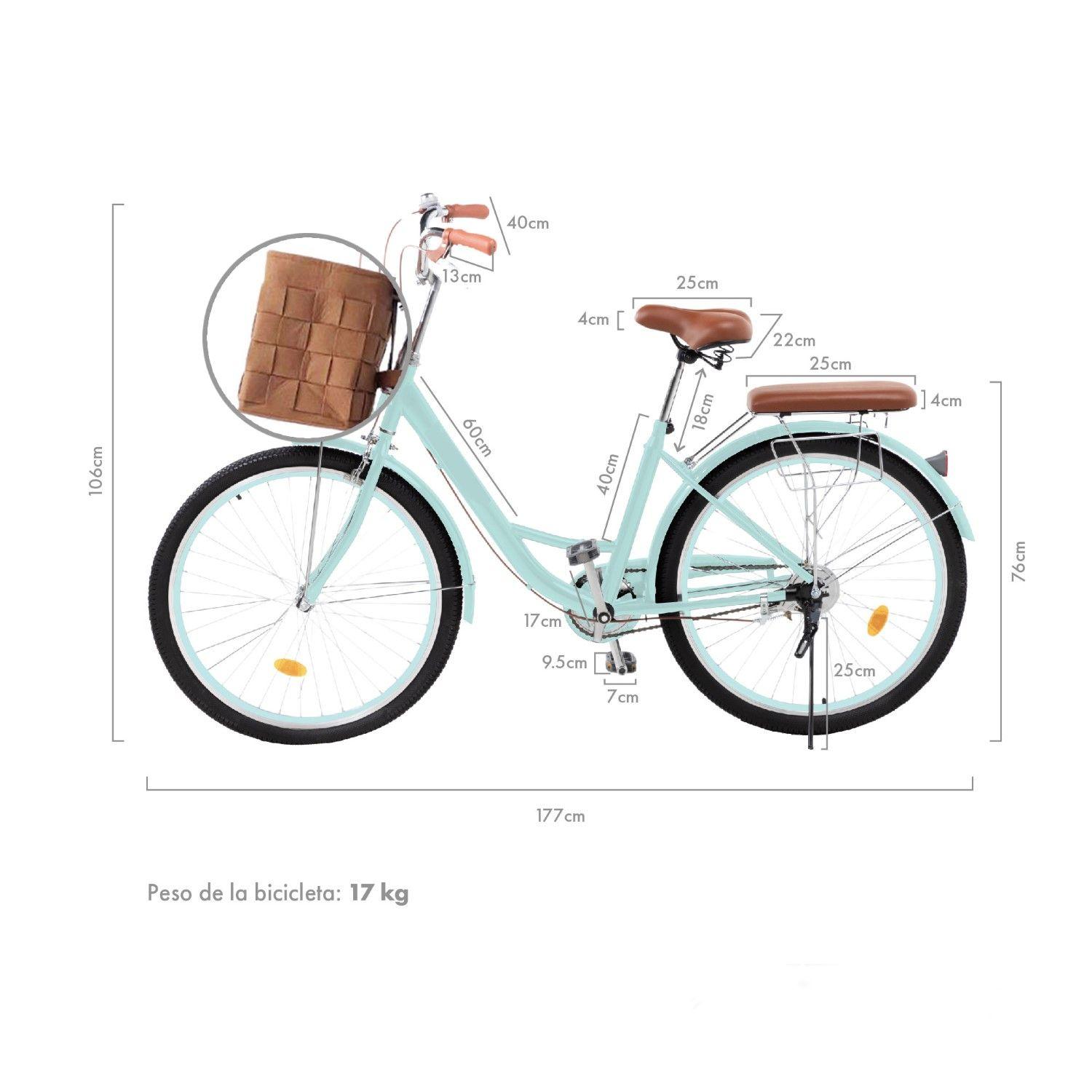 Bicicleta Urbana Aro 26 Vintage Con Canastilla Retro Verde-1