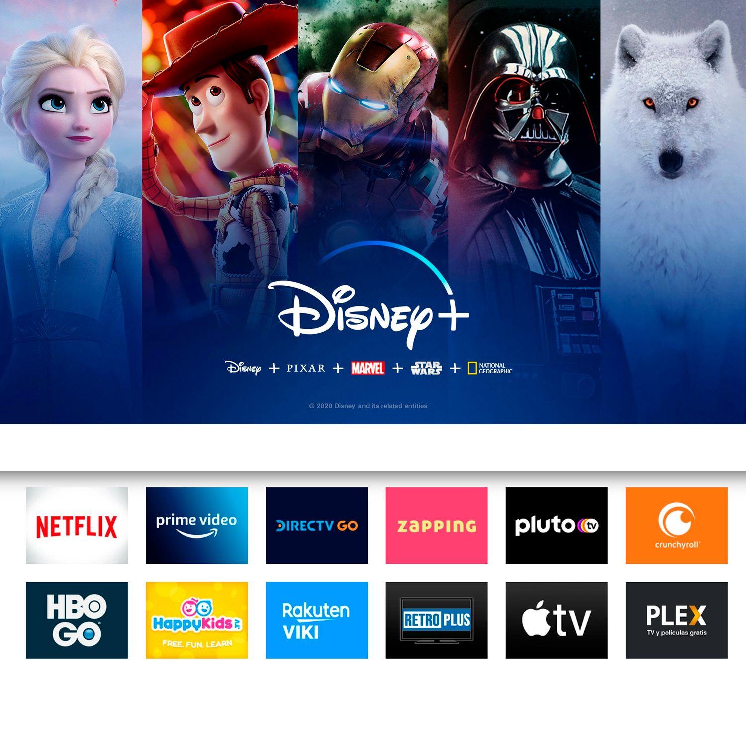 Roku Express Smart TV Full HD | Disney+ HBO Netflix Amazon Etc-2