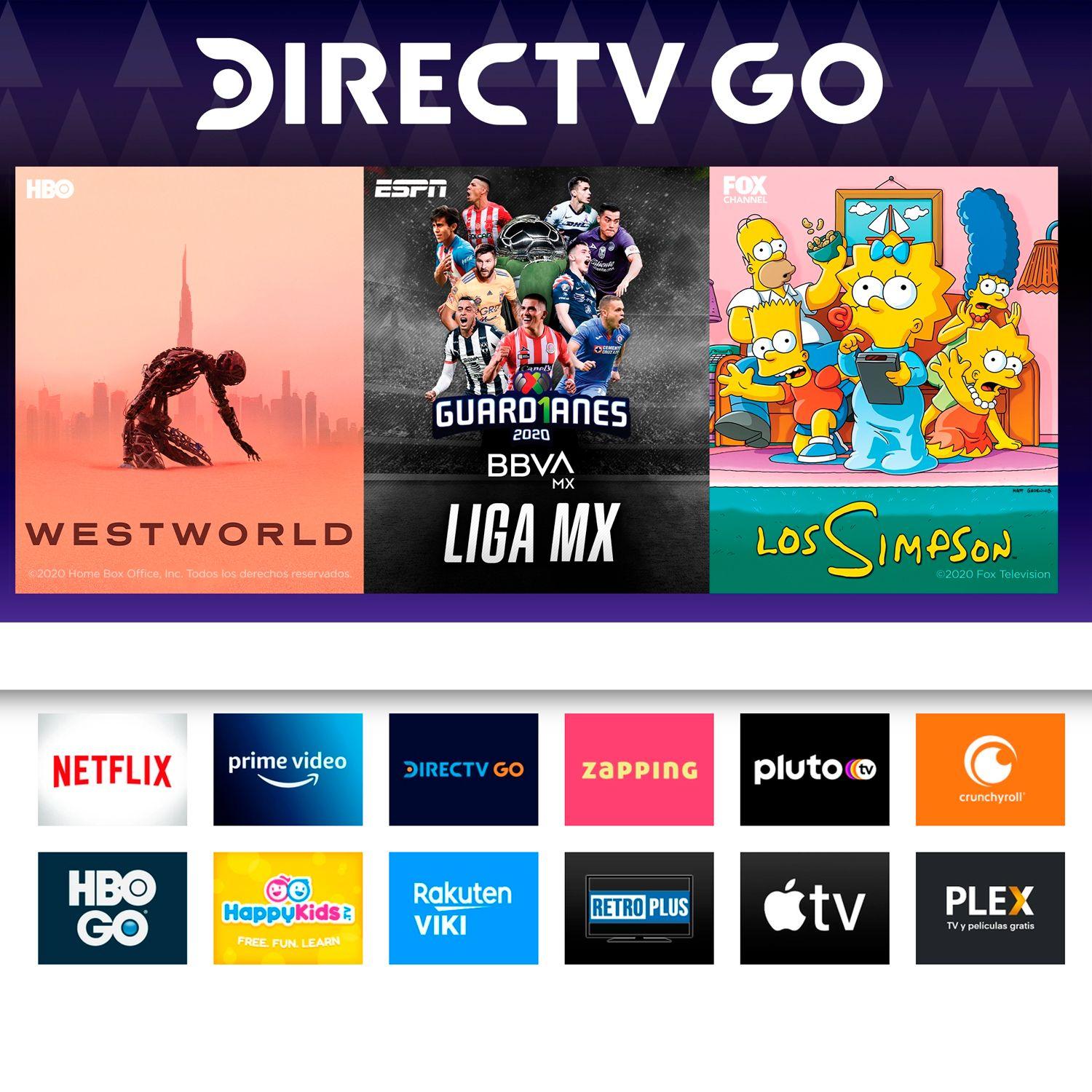 Roku Express Smart TV Full HD | Disney+ HBO Netflix Amazon Etc-6