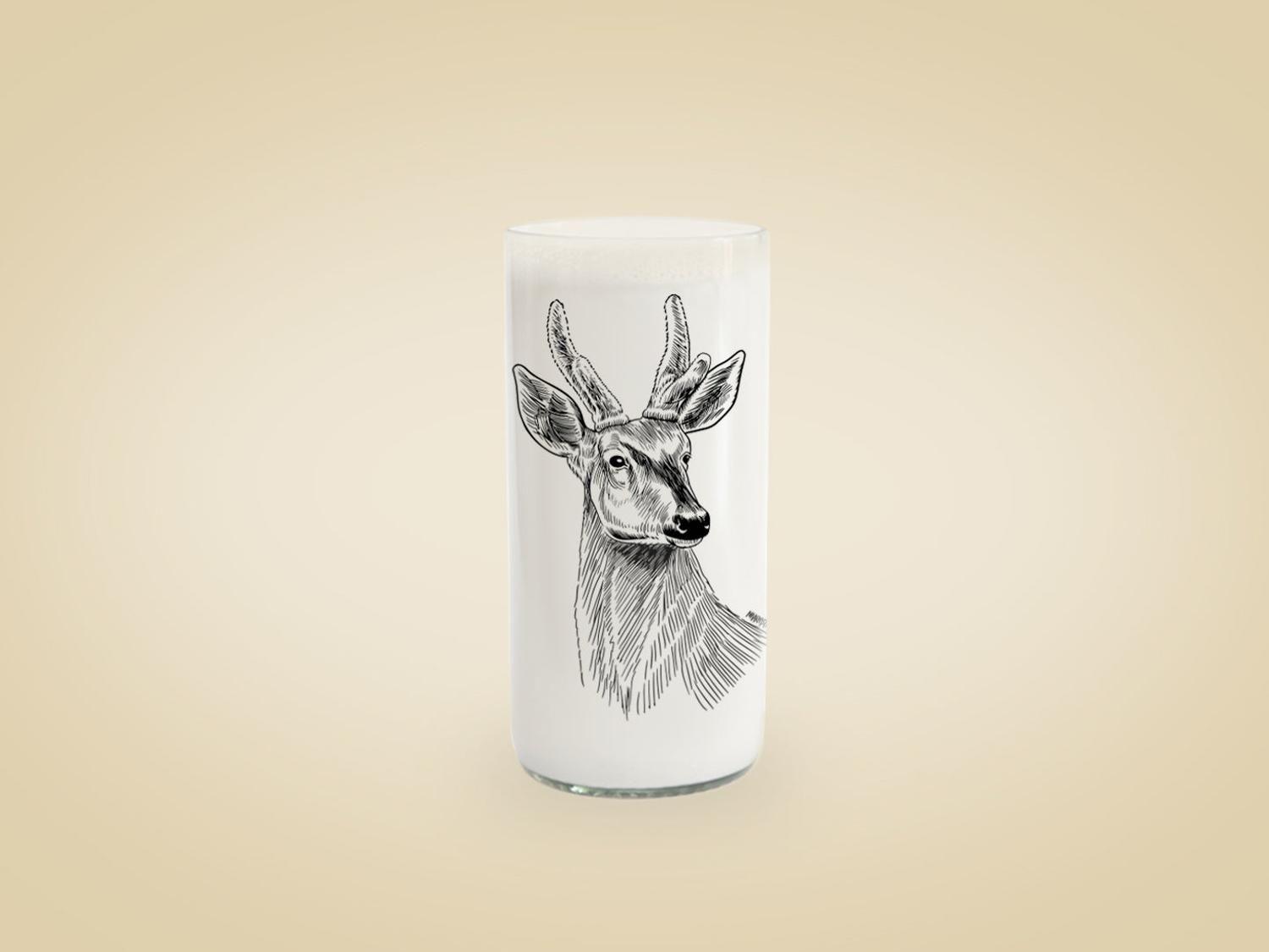 Fauna Chilena - Juego de 6 vasos-3