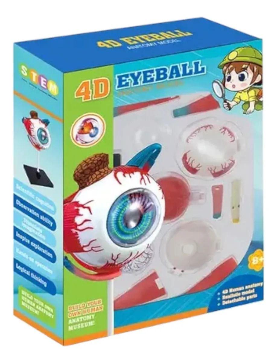 Ojo 4d Did ctico Globo Ocular Rompecabezas Puzzle 32 Piezas-2