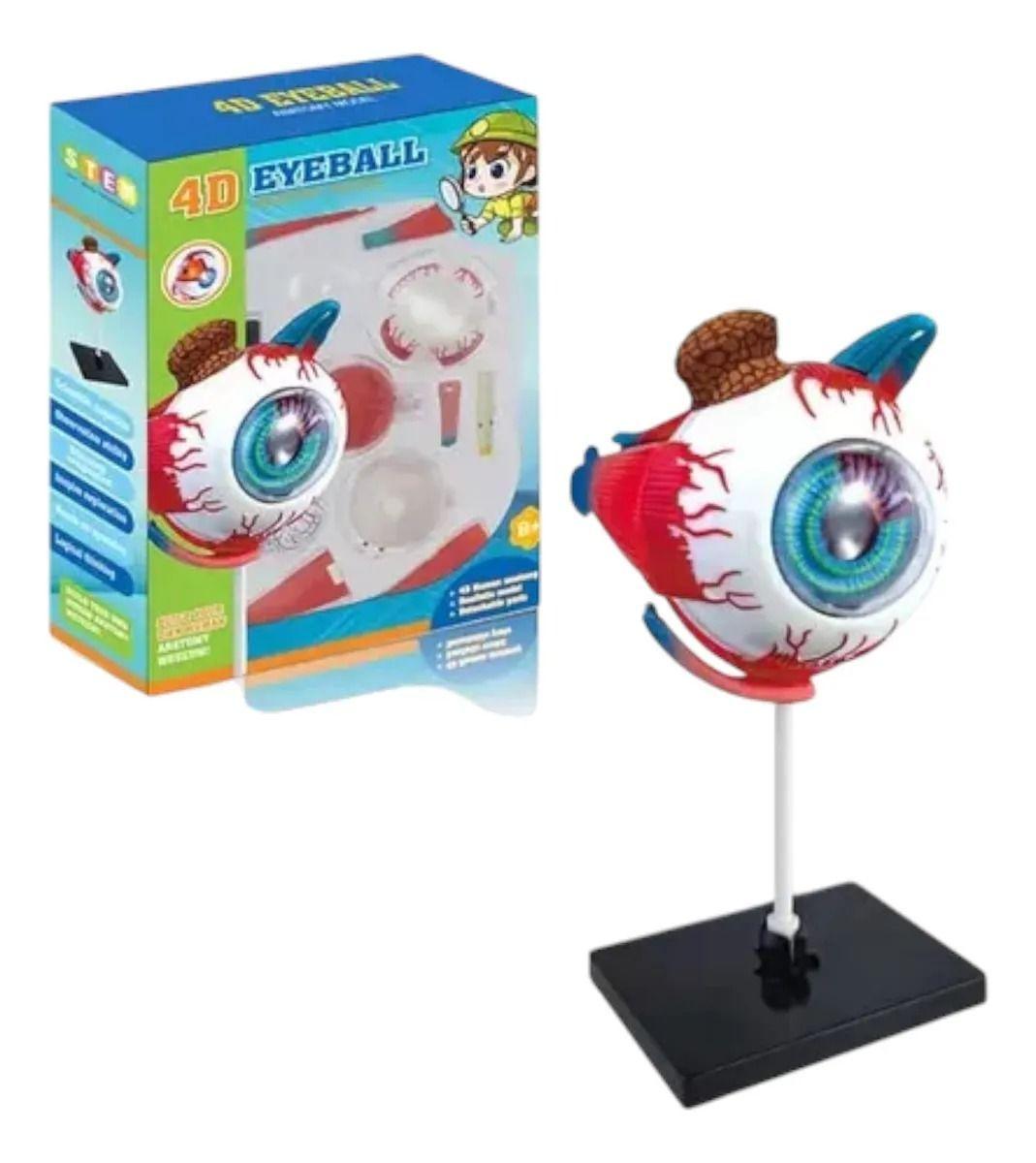Ojo 4d Did ctico Globo Ocular Rompecabezas Puzzle 32 Piezas-5