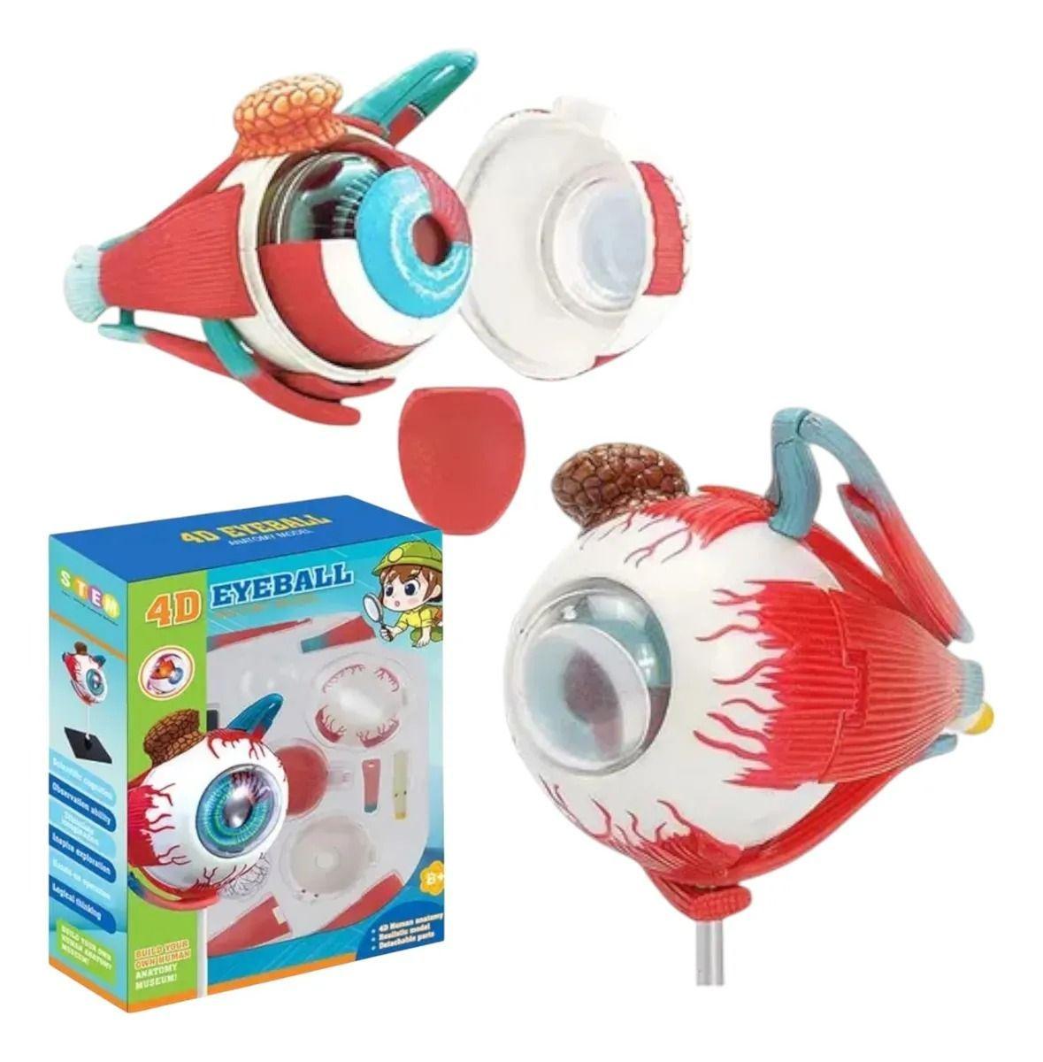 Ojo 4d Did ctico Globo Ocular Rompecabezas Puzzle 32 Piezas-6