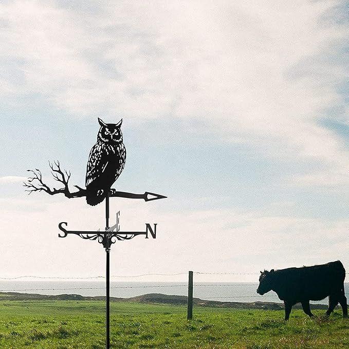 Veleta De Metal Con Soporte Para Techo-6