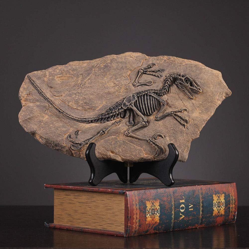 Fósil De Dinosaurio De Resina De Esqueleto-1