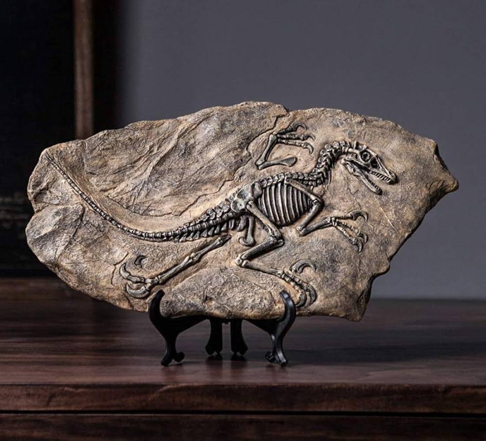 Fósil De Dinosaurio De Resina De Esqueleto-2