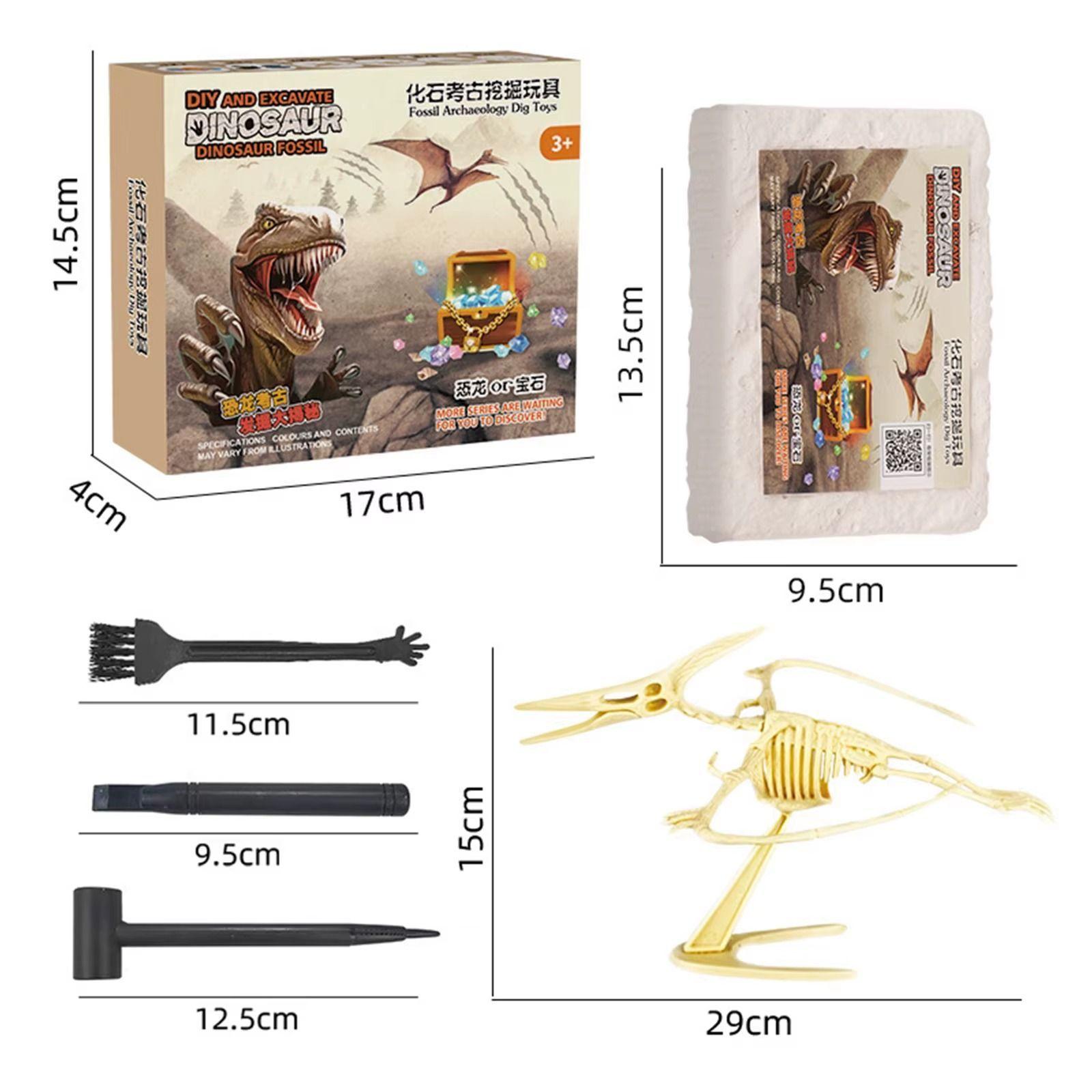 Jurásico Animal Dinosaurio Esqueleto Fósil Set De 6 Pcs-7