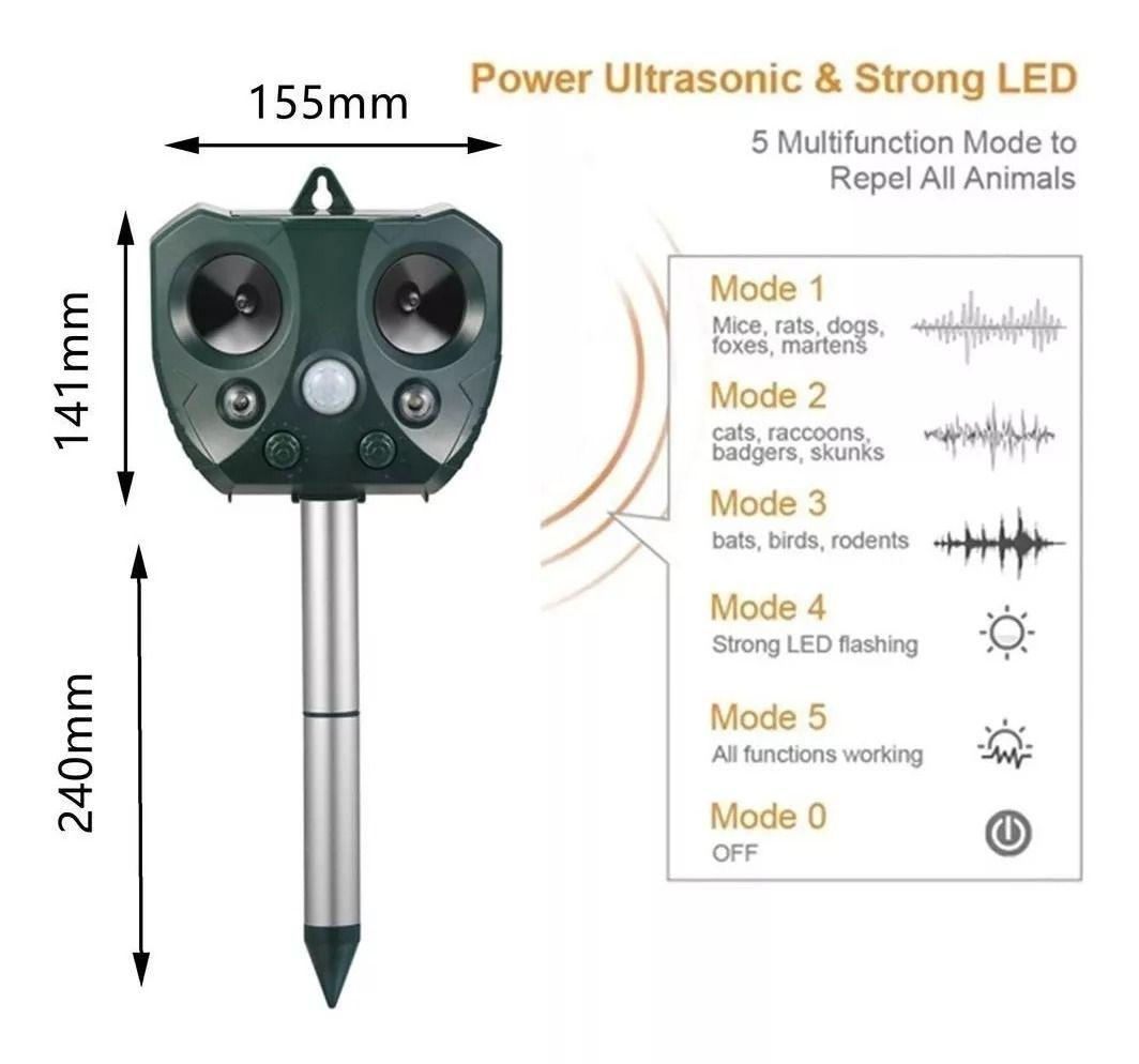  Insecto Y Animales Ultrasonido-2