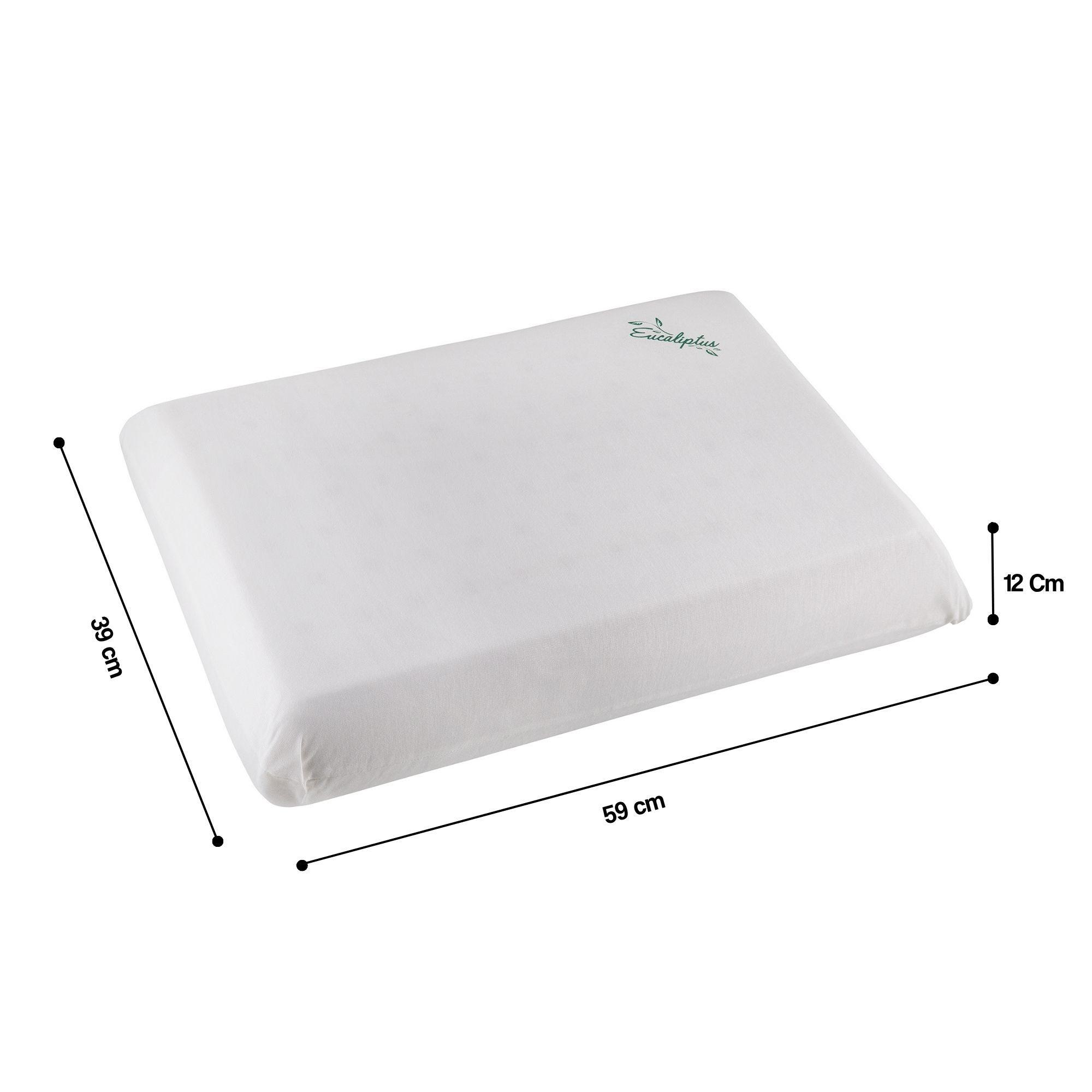 Pack x2 Almohadas Latex Eucaliptos Lavable 59x39x12 Cm-8