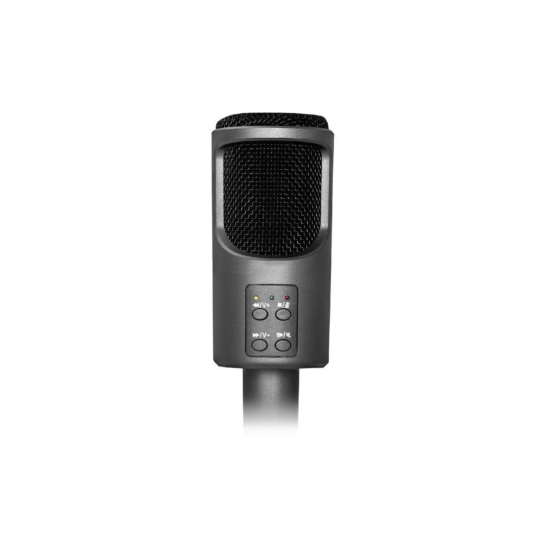 Micrófono Condensador Home Studio Usb-1