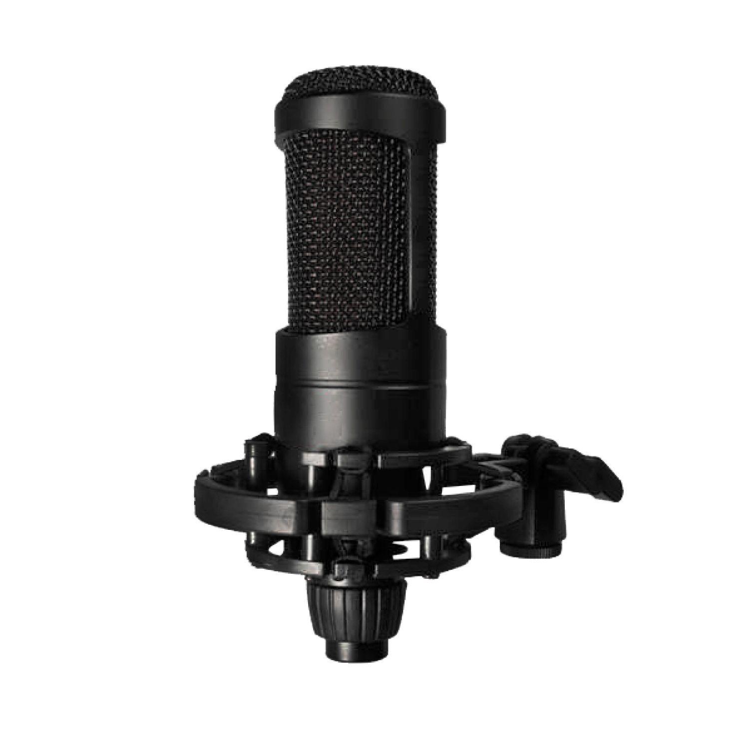 Micrófono Condensador Profesional-0