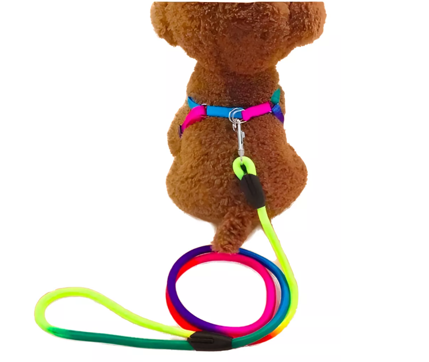 Correa + Arnés Multicolor Para Mascotas Perros-2