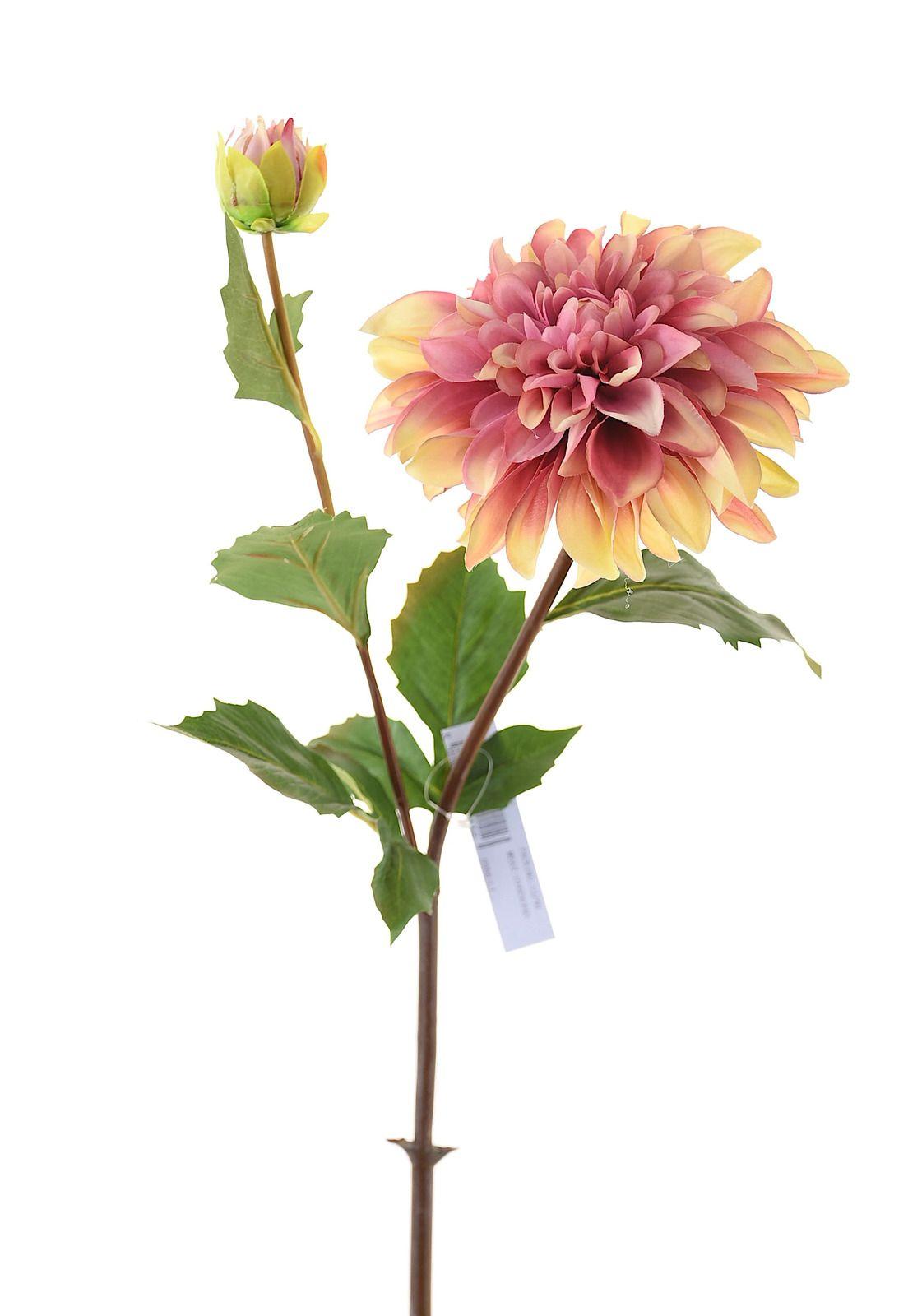 Amarylis 84Cm Rosado-0