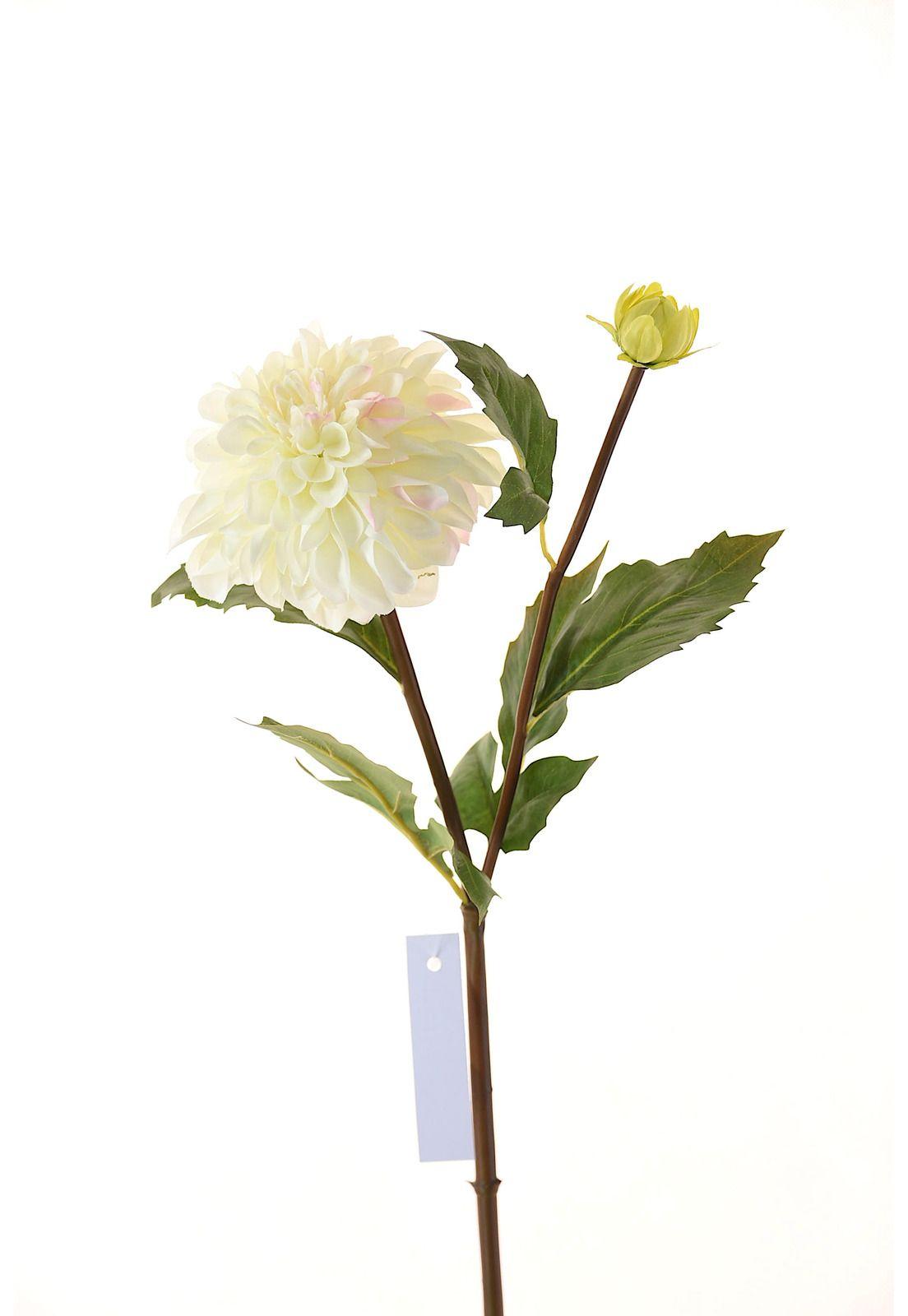 Amarylis 84Cm Blanco-0