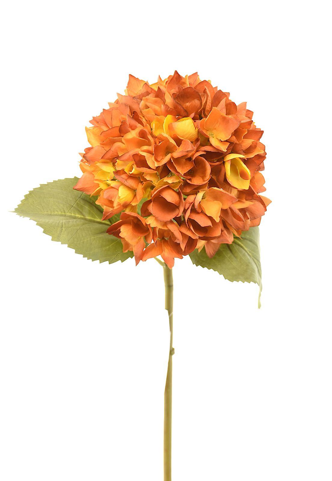 Hortensia 50Cm Amarillo-0