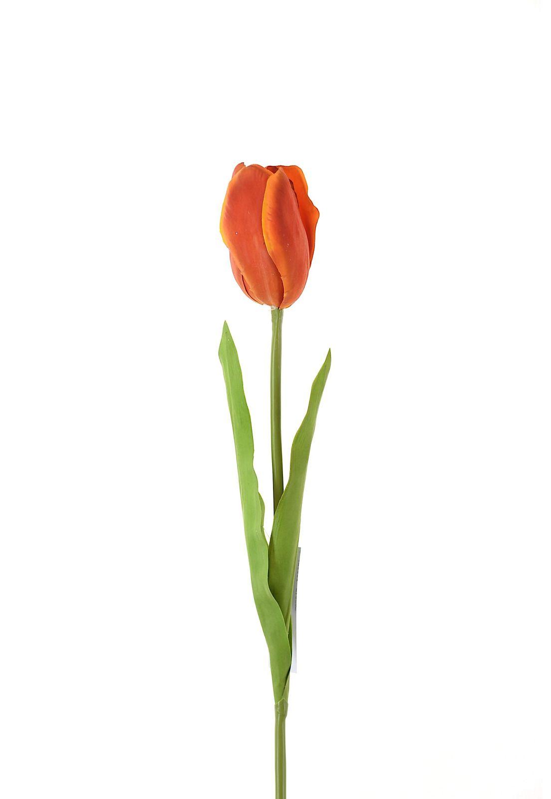 Tulipan 67Cm Naranjo-0