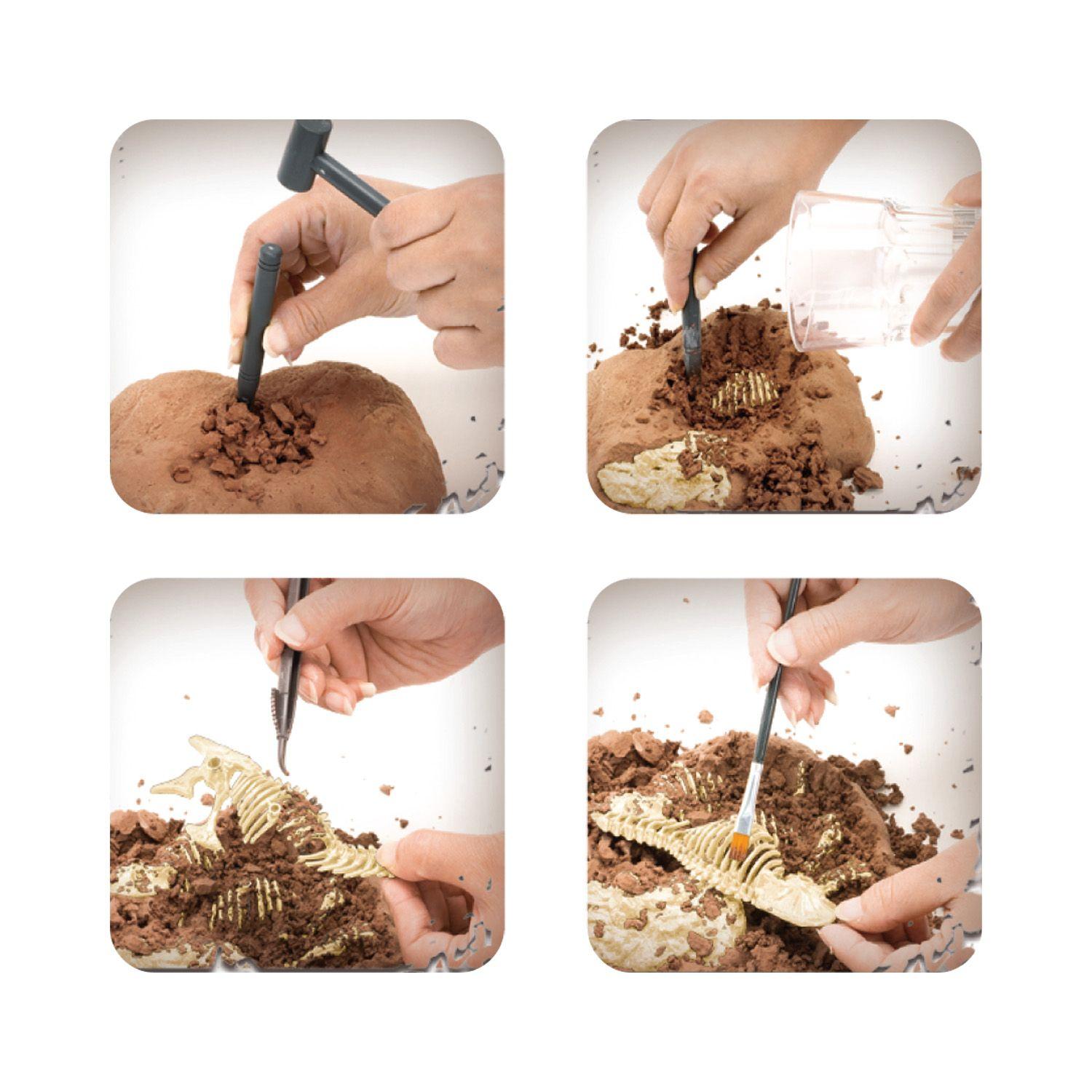 Set De Niño Arqueológico - Jurassic World Movie-6