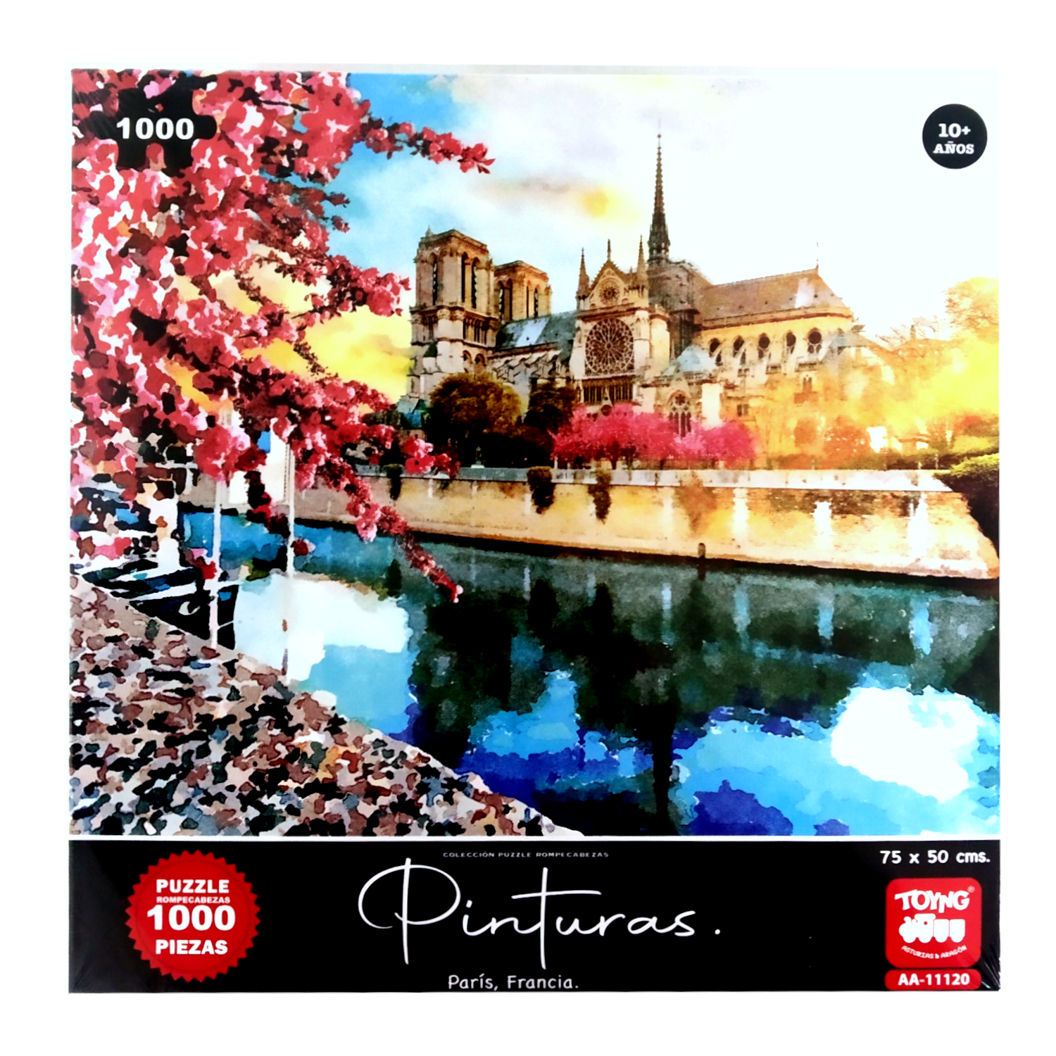 Puzzle 1000 Piezas Paris - Toyng-0