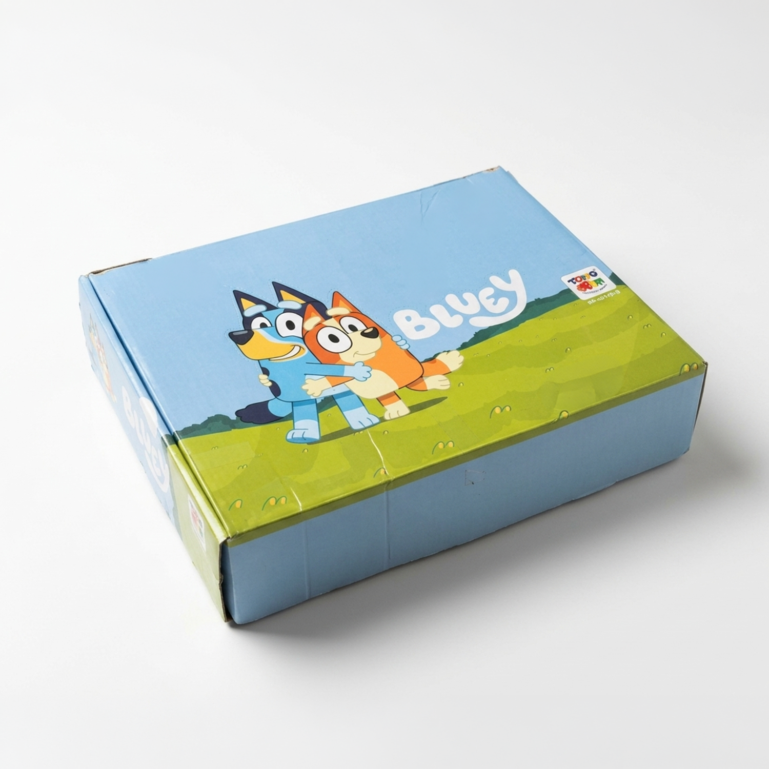 Pack x20 Masas Pegajosas Bluey Surtidas-3