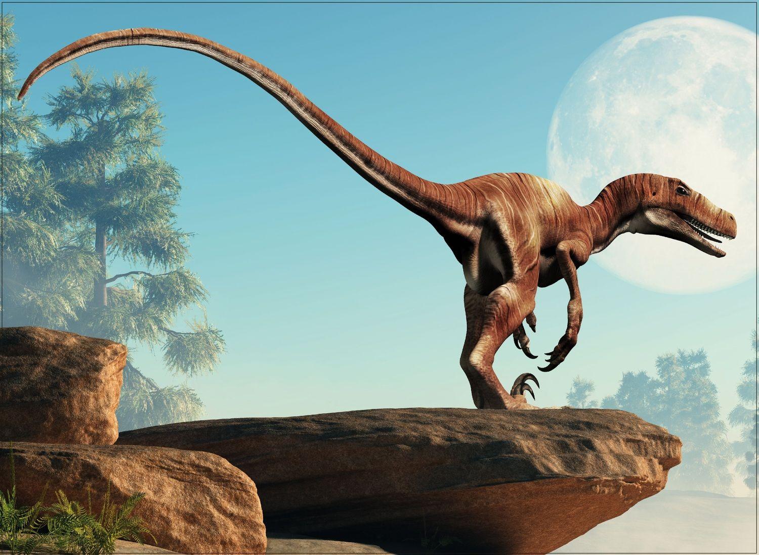 Puzzle Deinonychus Colección Jurásica (100 Piezas) - Toyng-4