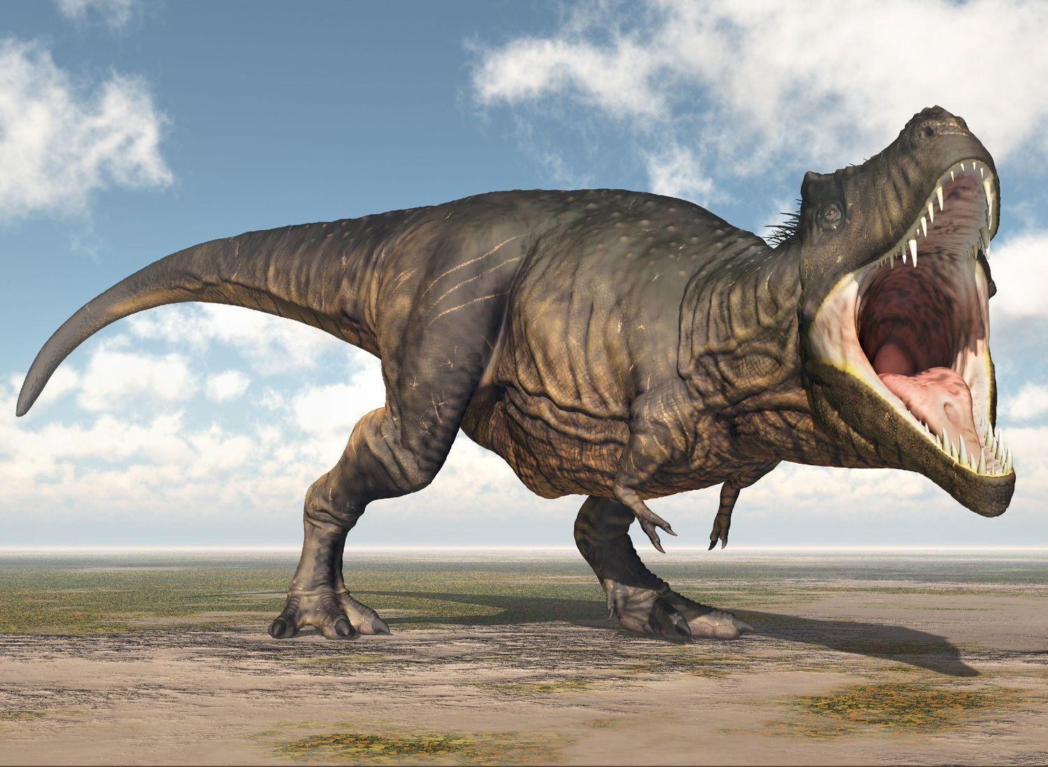 Puzzle Tyrannosaurus Colección Jurásica (100 Piezas) - Toyng-3