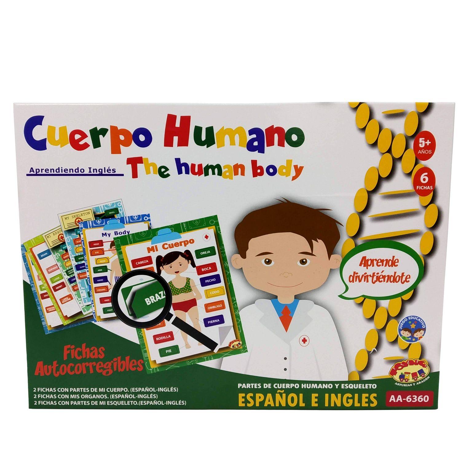 Juego Educativo Cuerpo Humano - Toyng-3
