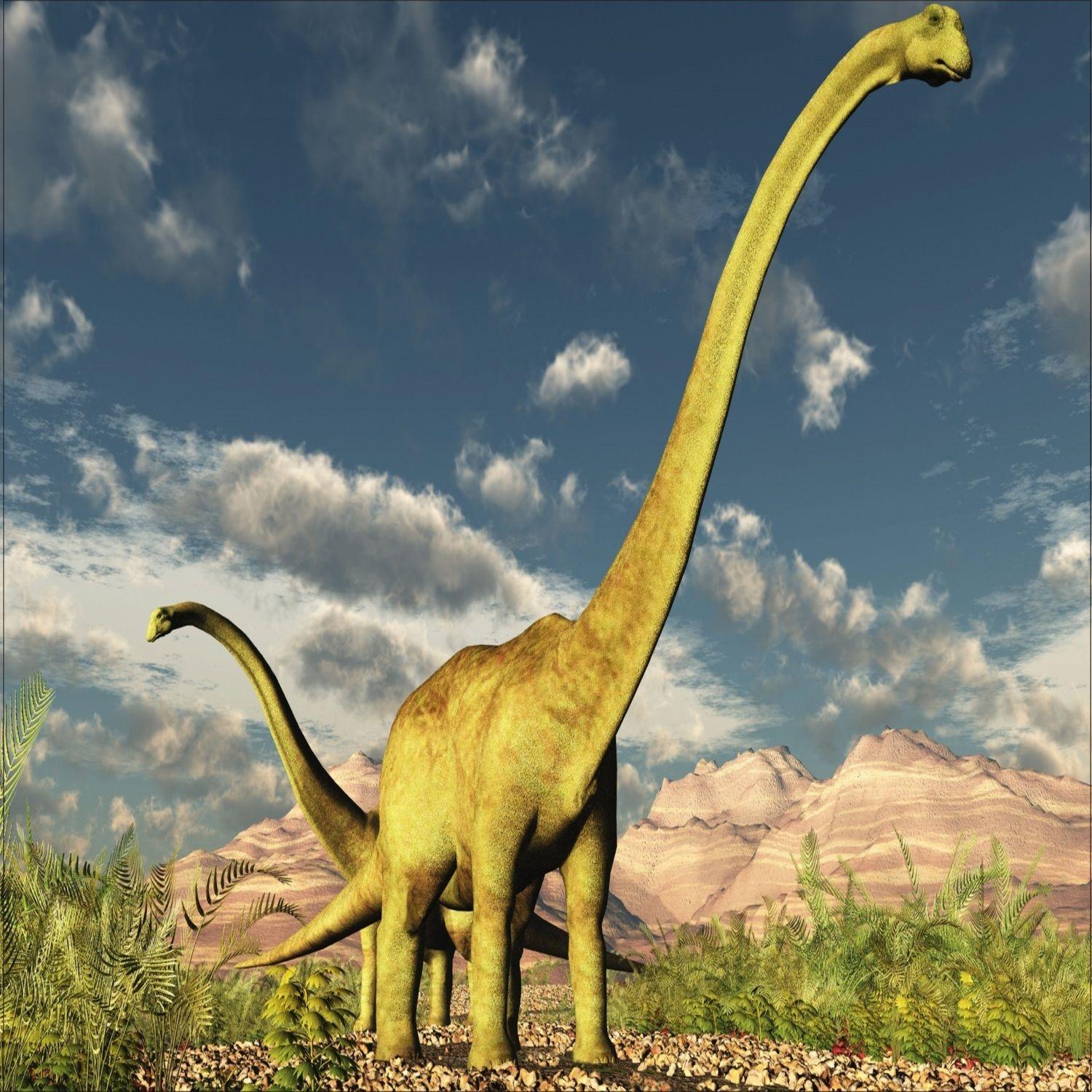 Puzzle Brachiosaurus Colección Jurásica (100 Piezas) - Toyng-3