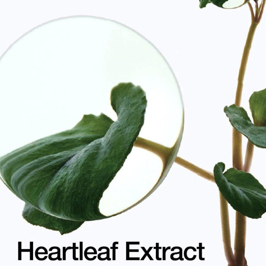 Heartleaf 70% Intense Crema Calmante Cosmética Coreana 50ml-4