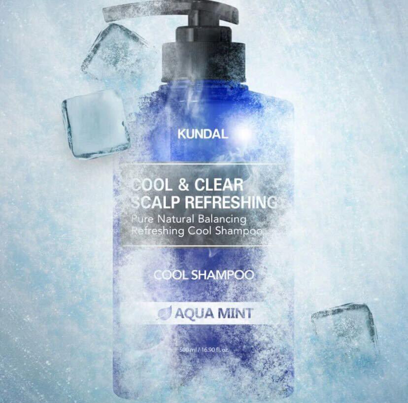 Shampoo coreano de menta con efecto refrescante y de limpieza profunda - KUNDAL-1